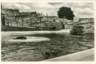 To się działo we Wrocławiu ponad 100 lat temu!