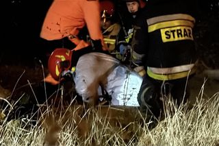 Makabra w Warszawie. Z kanału wyłowili ludzkie zwłoki