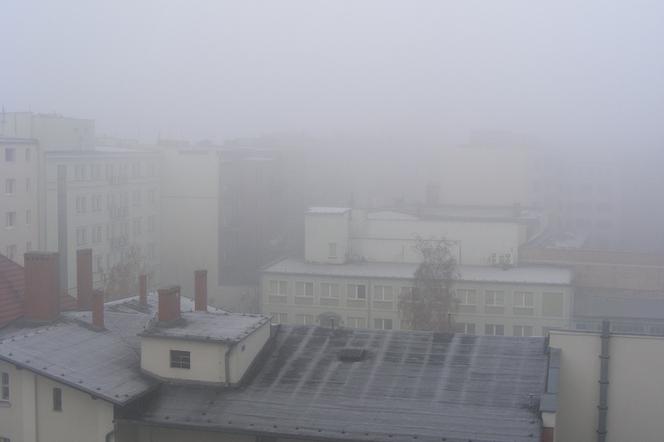 Mgła  w Poznaniu. Odwołane loty z Ławicy