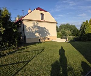 Kajtek bocian podwórkowy