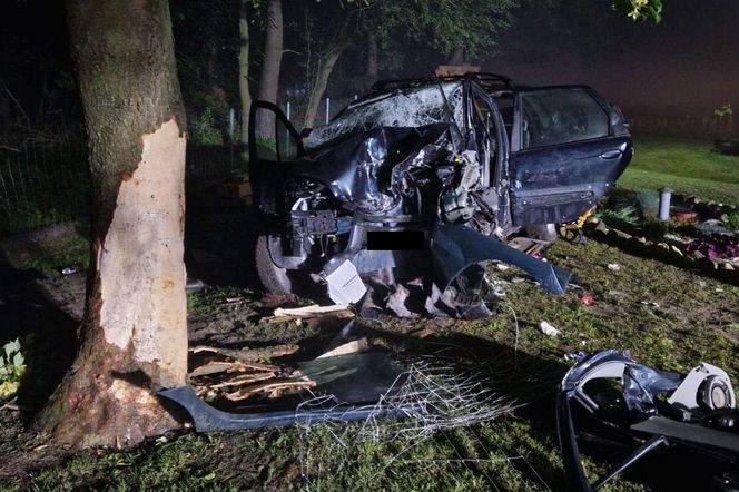 Samochód uderzył w drzewo. Autem kierowała pijana 22-latka