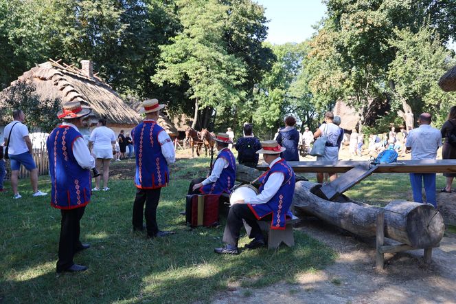 W skansenie w Lublinie pokazali, jak dawniej wyglądały wykopki kartoflane