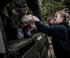 Wojsko Polskie pomaga ewakuować ludność z podtopionych terenów