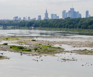 Wisła wysycha. Tak źle nie było nigdy w historii. Zdjęcia z lotu ptaka obrazują skalę suszy