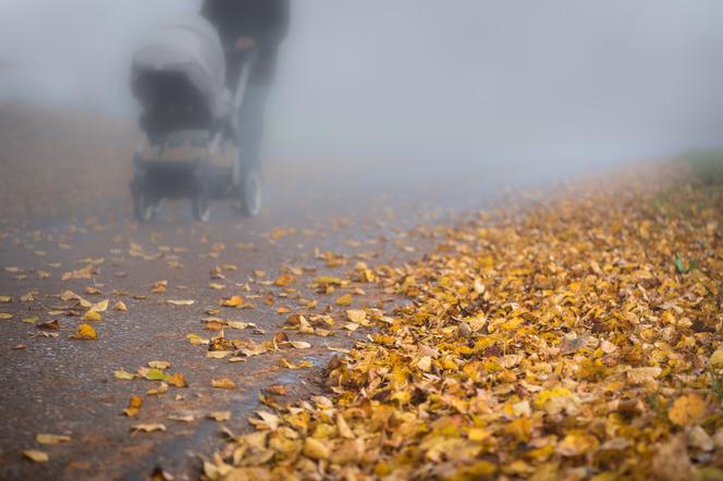 Osoba z wózkiem na spacerze w smogu