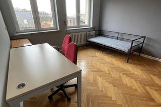 We Wrocławiu powstał Dom dla Skrzywdzonych Zwierząt. To pierwsza taka inicjatywa w Polsce. Sprawdź, jak zostać opiekunem tymczasowym