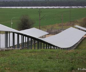 W lubuskiem powstała farma fotowoltaiczna! Gdzie dokładnie i ile kosztowała?