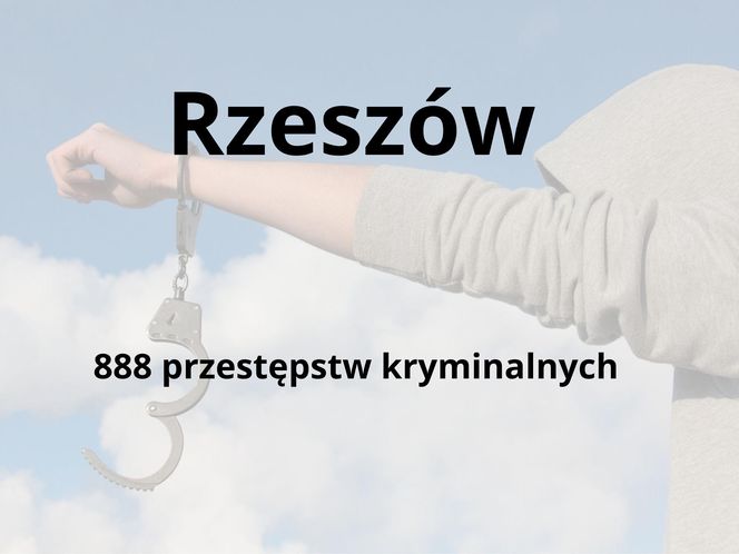 To tu na Podkarpaciu dochodzi do największej liczby przestępstw kryminalnych