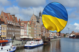Gdańsk przekaże Ukrainie namioty niezłomności. Do których miast trafią?