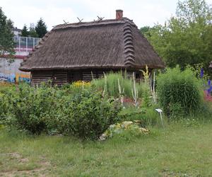 Skansen w Lublinie zachwyca w słoneczny letni dzień!