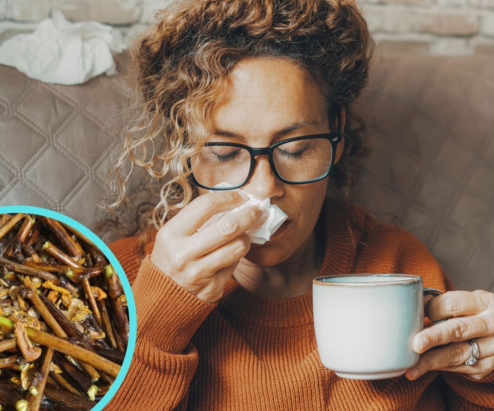 Leśnicy przypominają stary eliksir na przeziębienie. Niejedna babcia wnukom gotowała