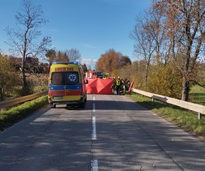 Śmierć dwóch osób na miejscu! Tragiczny wypadek w miejscowości Wzdół Kolonia