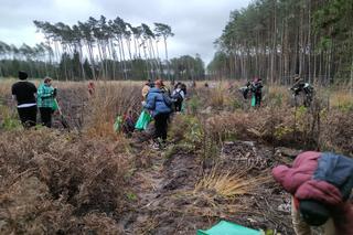Nowe drzewa za strzelone gole. Wyjątkowa akcja Warty Poznań. Finał drugiej edycji akcji „Ale Zasadził!”