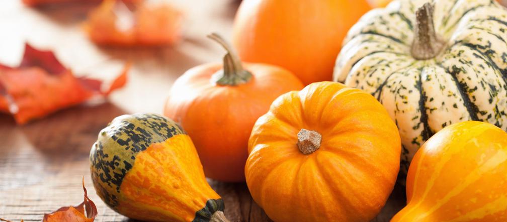 Dynia: jakie ma właściwości? Czy dynie są zdrowe? 