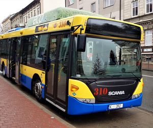 Zmiany w rozkładzie jazdy autobusów w Tarnowie. Wchodzą w życie 1 lutego, dotyczą najpopularniejszej linii