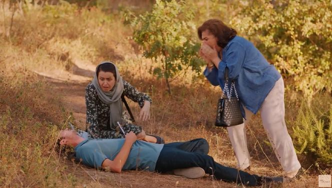 Miłość i nadzieja odc. 259. Alper, Naciye, Cavidan