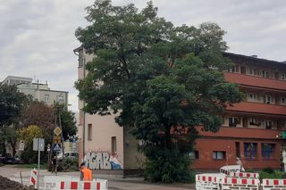 Przejścia dla pieszych w Mińsku Mazowieckim będą doświetlone