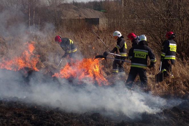 Sezon na wypalanie traw rozpoczęty! Ponad 80 interwencji strażaków w niedzielę!