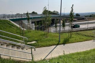 Wiadukt i węzeł w Gaju