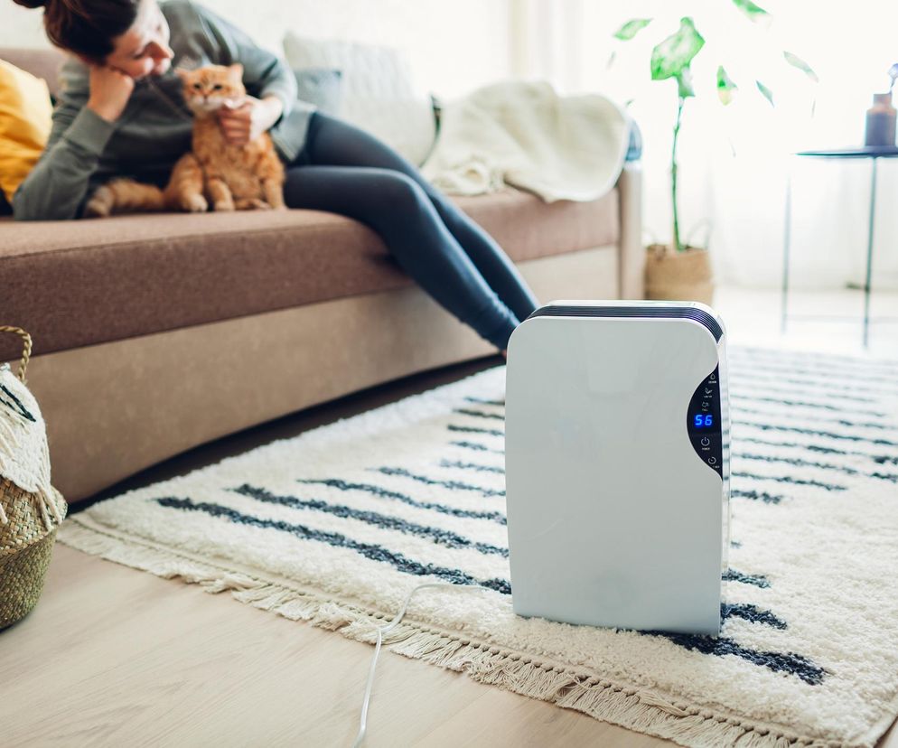 Ten tani sprzęt pokona wilgoć szybciej, niż myślisz. Sprawdziliśmy!