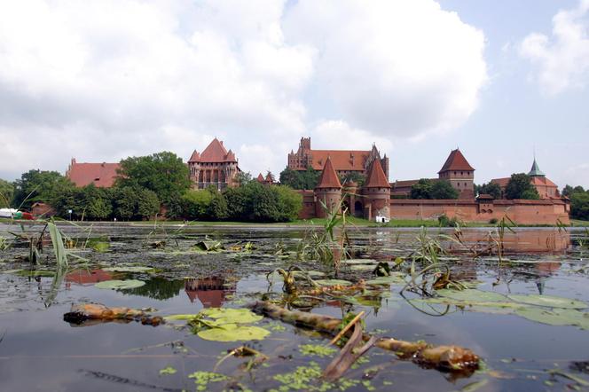 Zamek Malbork