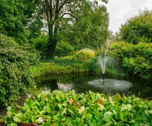 Ogród Botaniczny Uniwersytetu Warszawskiego, Warszawa