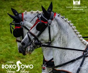 Rokosowo zaprasza na Horse Show