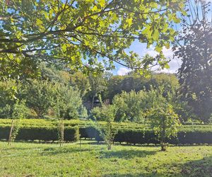 Arboretum Bramy Morawskiej zachwyca jesienią