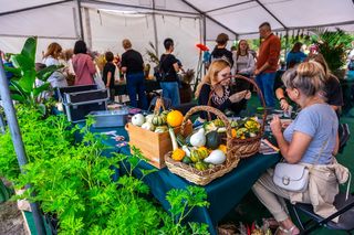 Wielki piknik kwietny finał 42. edycji konkursu „Warszawa w kwiatach”