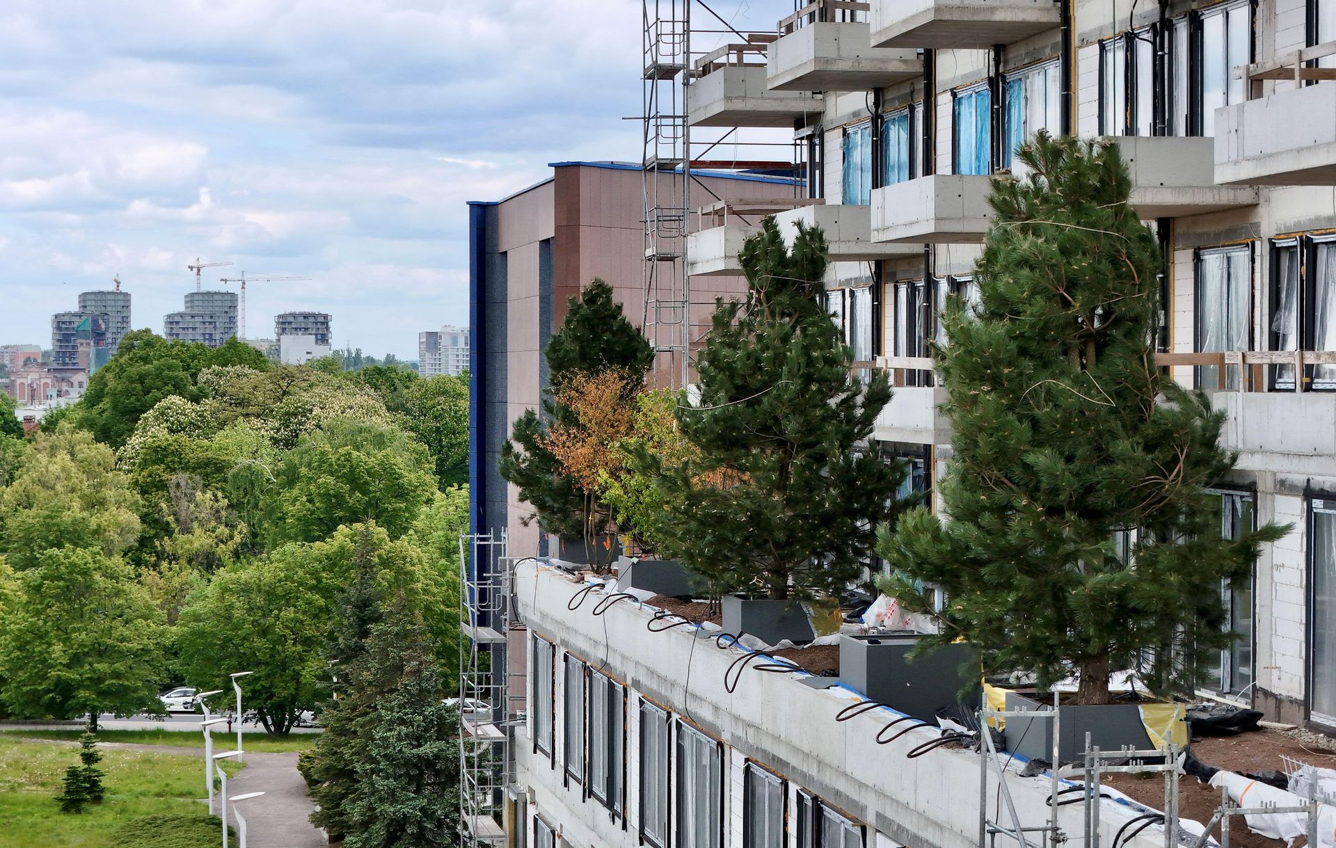 Pionowy lat w Katowicach na budynku Damrota Garden
