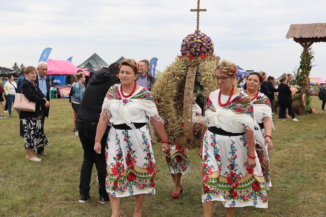 Korowód dożynkowy na dożynkach wojewódzkich 2025 w Świdniku