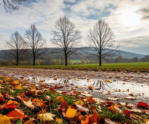Pogoda na długi weekend listopadowy. Gdzie zaskoczy nas deszcz?