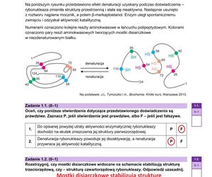 Matura 2025 biologia rozszerzona: ODPOWIEDZI do wszystkich zadań, gotowe rozwiązania matury z biologii rozszerzonej [9.05.2025]	