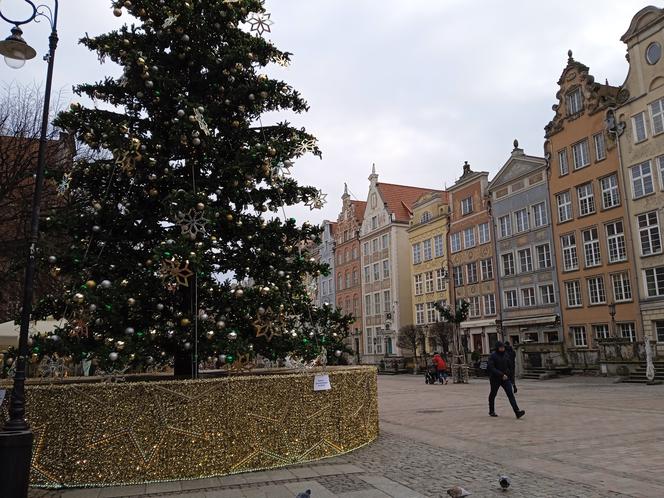 Zimowo i świątecznie w Gdańsku. Zobaczcie nasze zdjęcia!