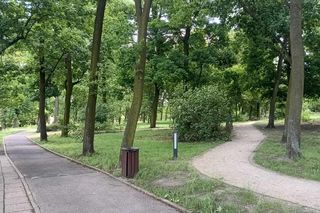 Park
