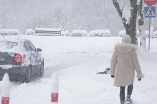 Powrót zimy w Polsce 2024 potwierdzony. Atak śniegu uratuje bożonarodzeniowe święta