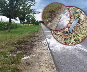 Ślady zbrodni i spalone ubrania ofiary spod Grójca. Sąsiedzi: Myśleliśmy, że to mafijne porachunki