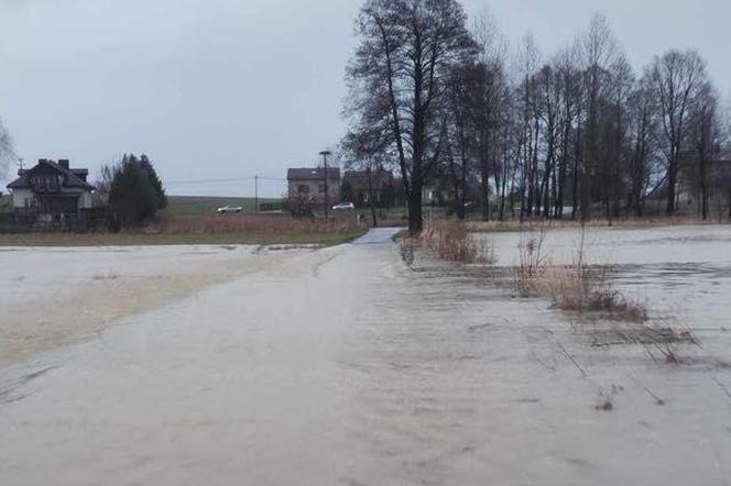 Zalane domy, drogi, powalone drzewa - skutki intensywnych opadów deszczu w woj. śląskim i silnego wiatru