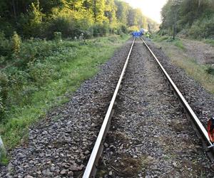 Śmiertelny wypadek na torach pod Kościerzyną. Pociąg osobowy potrącił 67-latkę.