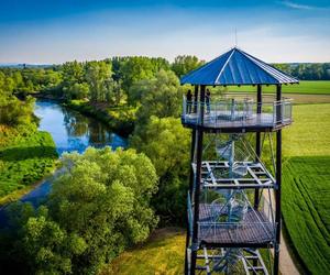 Graniczne Meandry Odry - piękny zakątek przyrody przy granicy z Czechami ZDJĘCIA