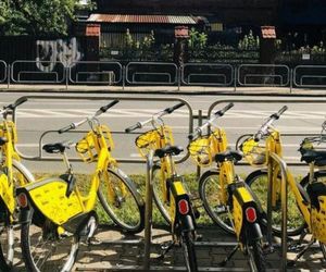 Ponad milion wypożyczeń Metroroweru. Mieszkańcy chętnie wybierali go jako środek transportu