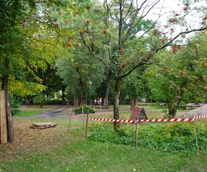 Rewaloryzacja Parku Planty. Zobacz, co dzieje się w białostockim zabytku latem 2024 roku