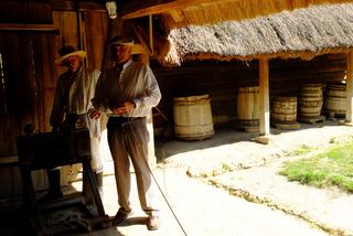 Lniane żniwa w Skansenie. Powrót do przeszłości w Lublinie