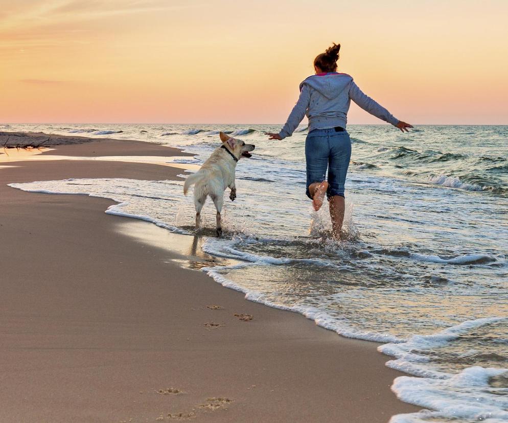 Na te plaże wejdziesz z psem