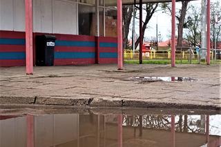 Pętla tramwajowa na Krzekowie