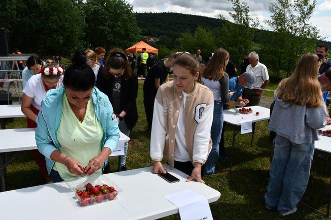 Dzień Świętokrzyskiej Truskawki w gminie Bieliny