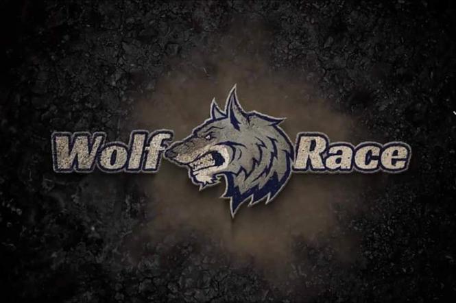 wolf race