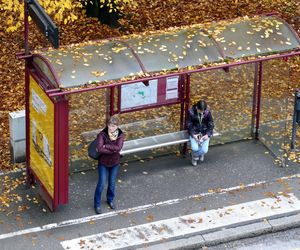 Więcej autobusów w Rzeszowie na Wszystkich Świętych. ZTM uruchamia dodatkowe linie 