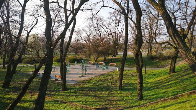 Czy poznaniacy stosują się do zakazów? Zaskakujące dane Straży Miejskiej! [ZDJĘCIA]
