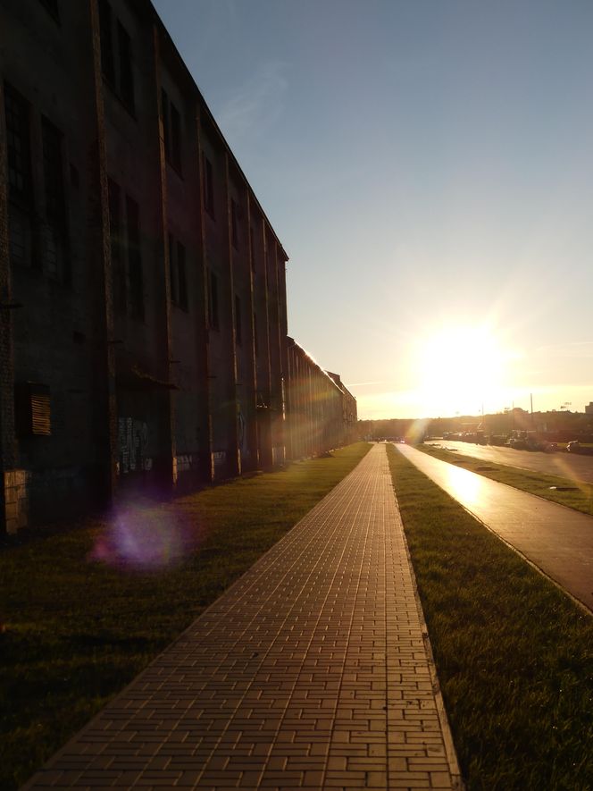 Tyle zostało po Cukrowni Lublin. „Na wysłodki czekało się bardzo długo”